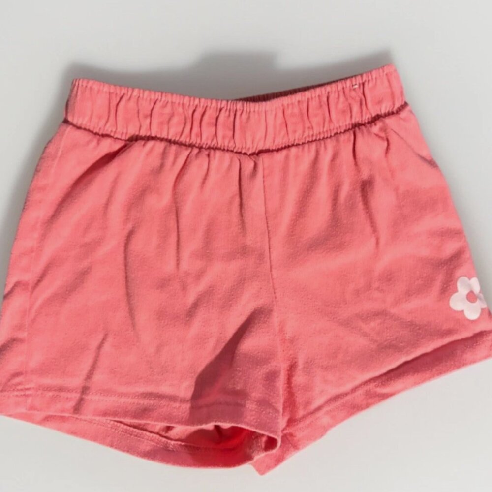 Garanimals Toddler Shorts Size 24M Preowned Great Condition